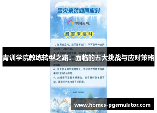 青训学院教练转型之路：面临的五大挑战与应对策略