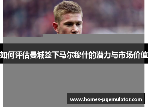 如何评估曼城签下马尔穆什的潜力与市场价值