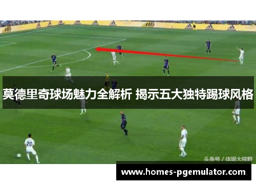 莫德里奇球场魅力全解析 揭示五大独特踢球风格