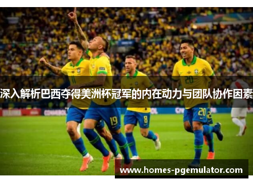 深入解析巴西夺得美洲杯冠军的内在动力与团队协作因素